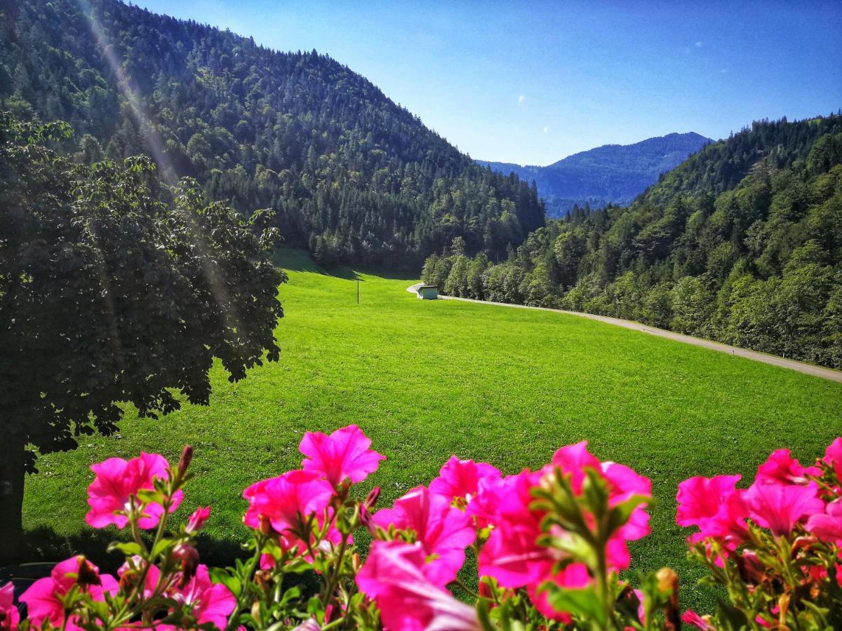 Gwercherwirt Brandenberg Экстерьер фото